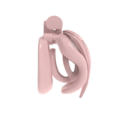 Dual-Heart Resin Chastity Cage