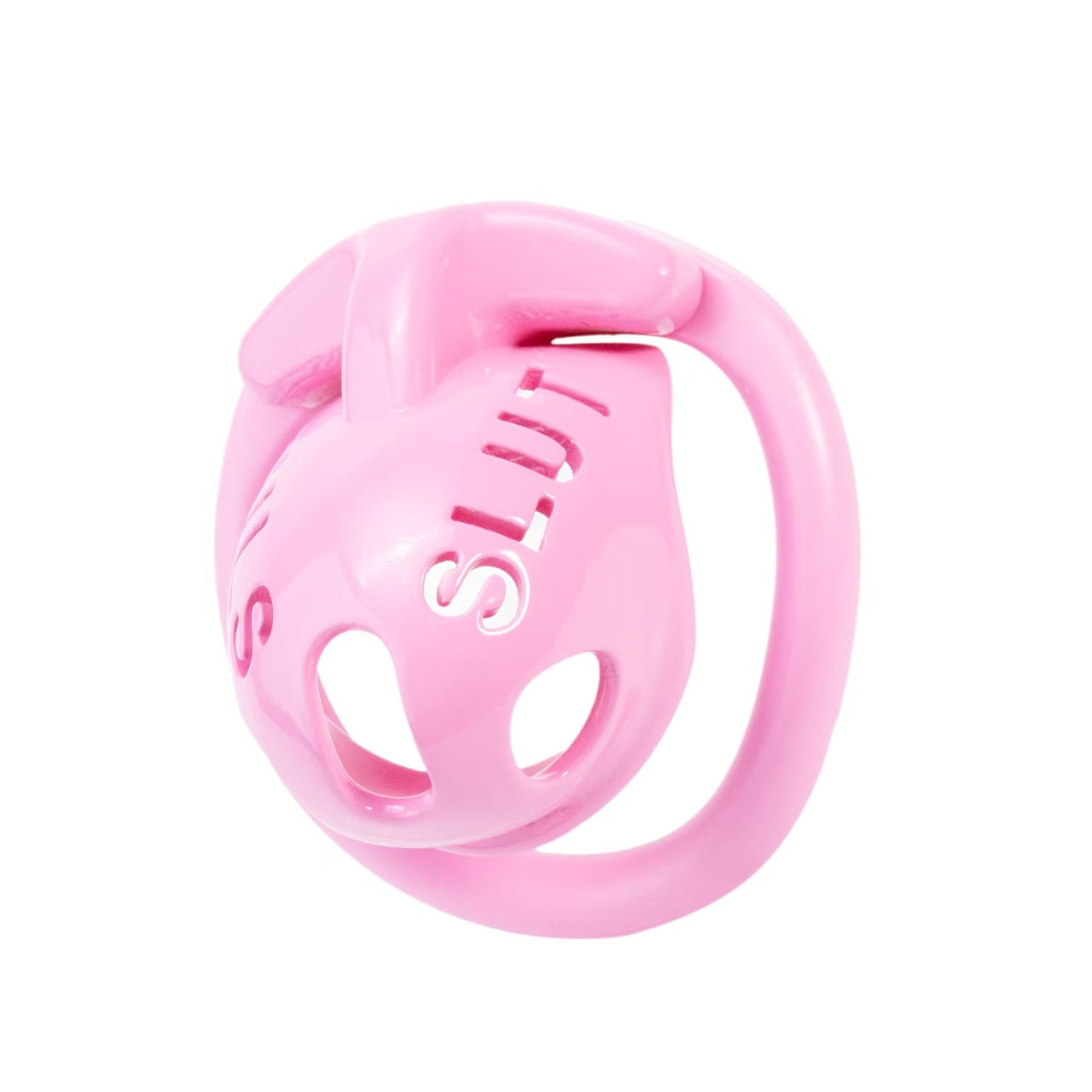Extreme humiliation SLUT Chastity Cage