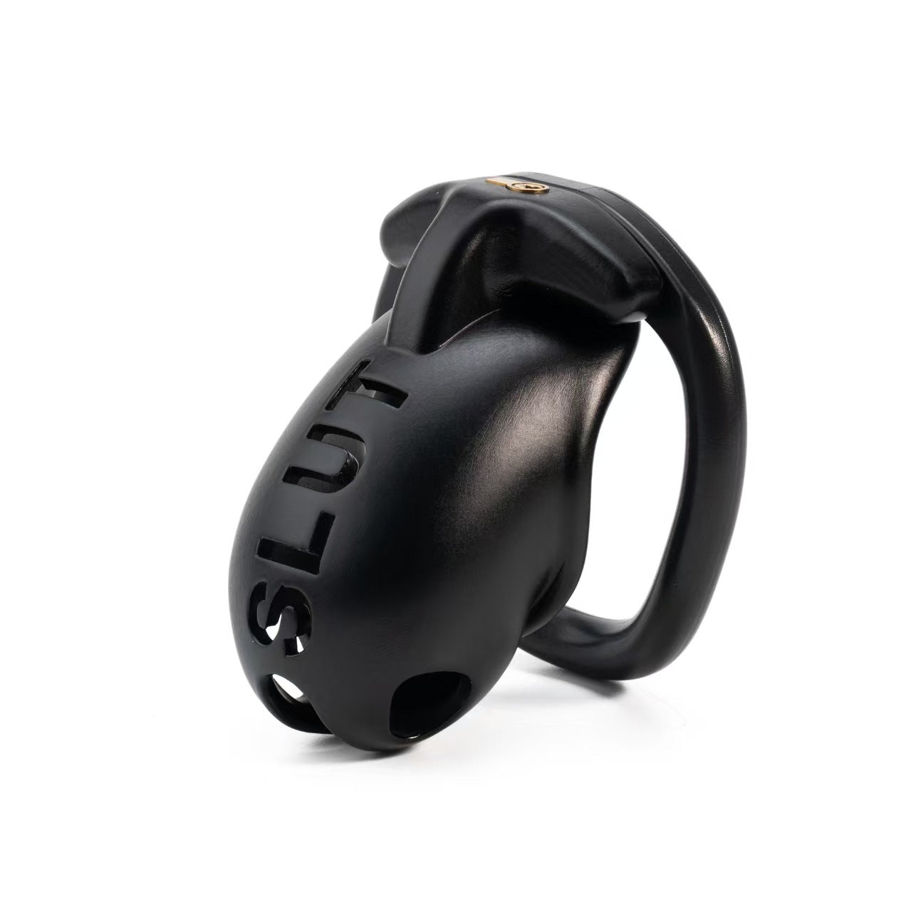 Extreme humiliation SLUT Chastity Cage