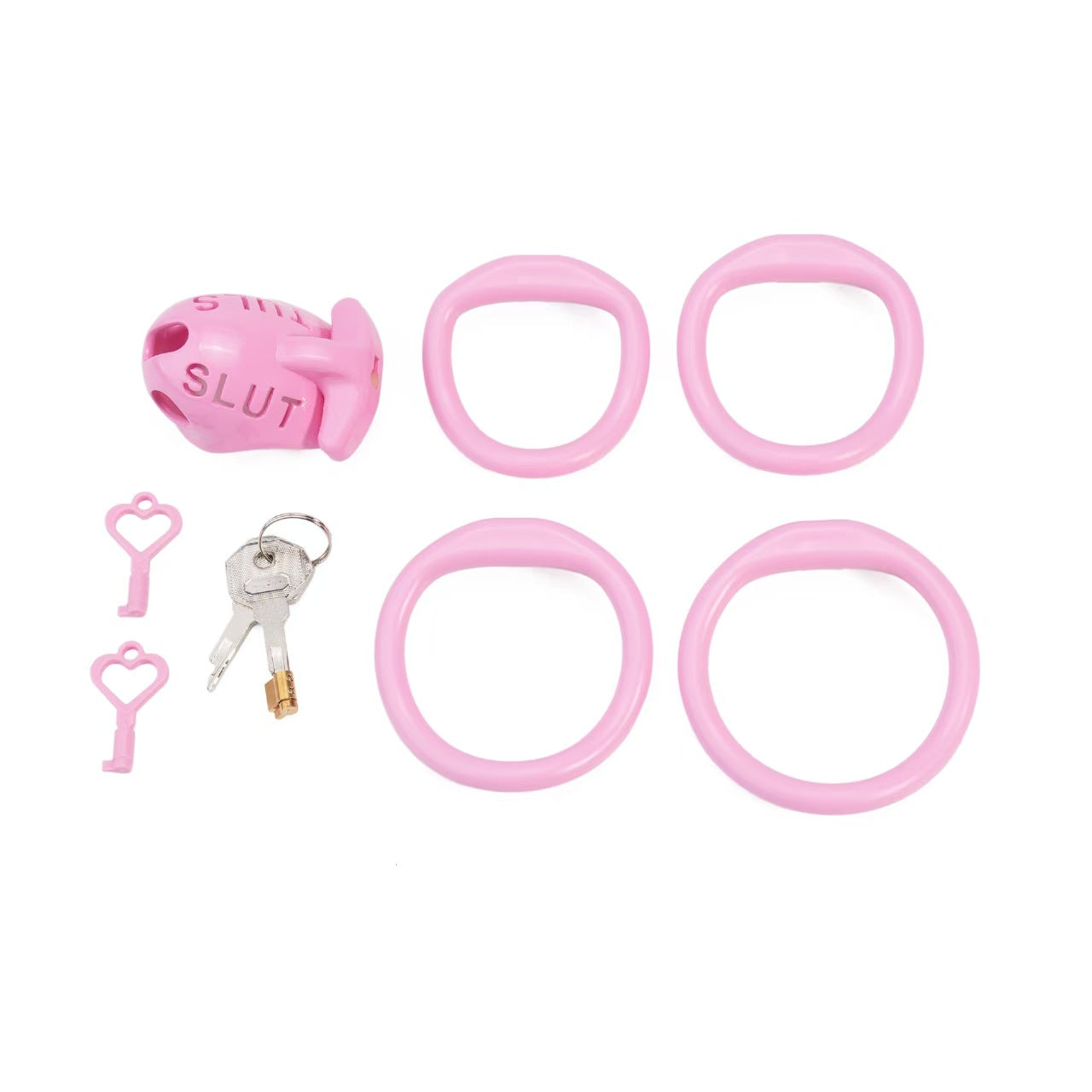 Extreme humiliation SLUT Chastity Cage