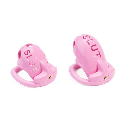 Extreme humiliation SLUT Chastity Cage