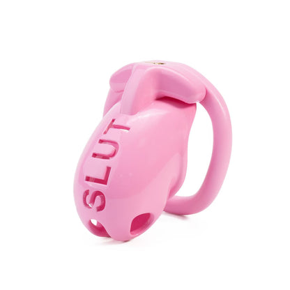 Extreme humiliation SLUT Chastity Cage