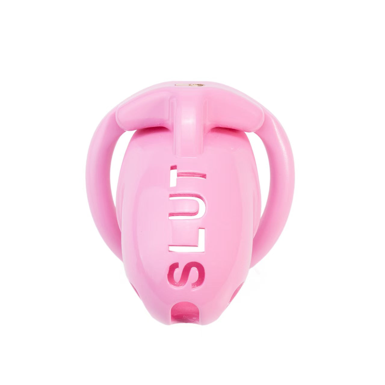 Extreme humiliation SLUT Chastity Cage