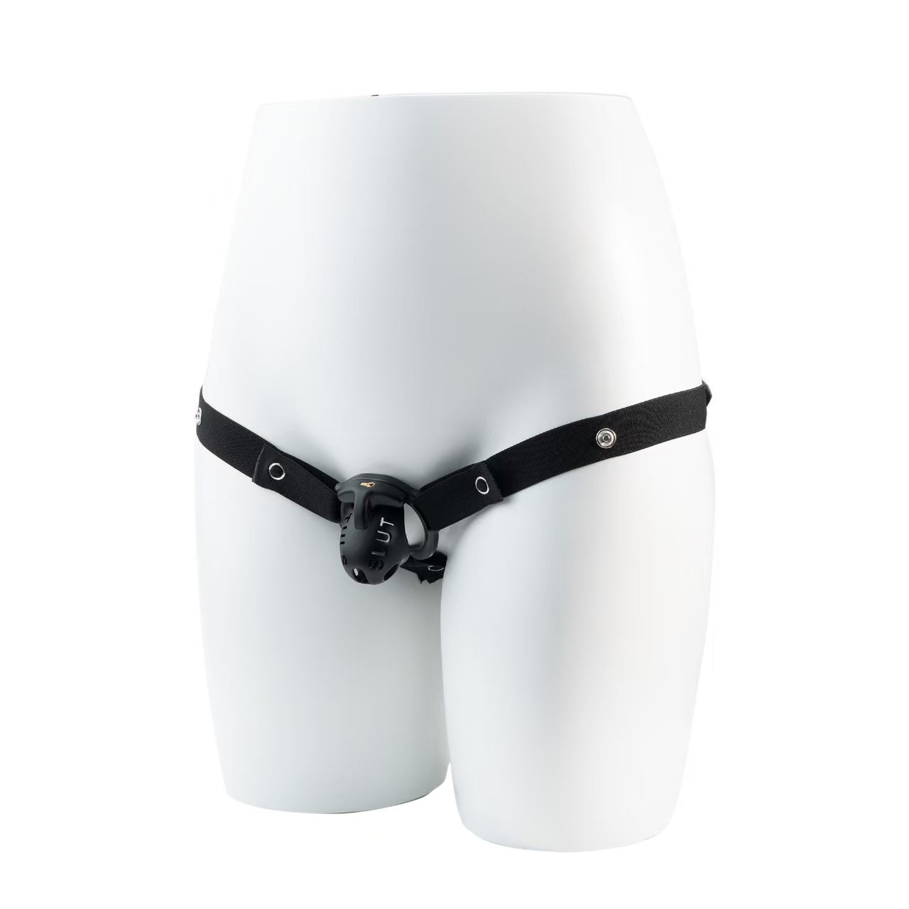 Extreme humiliation SLUT Chastity Cage