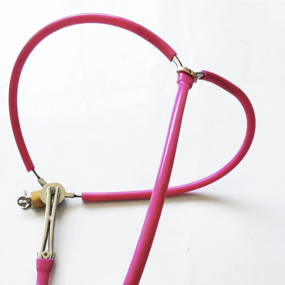 Chastity Belt for Women