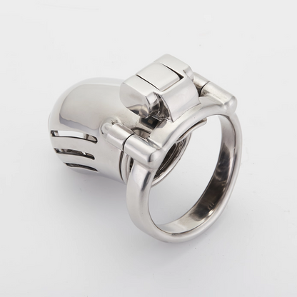 Full Steel Custom Chastity Cage With PA T13