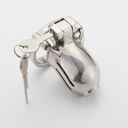 Full Steel Custom Chastity Cage With PA T13