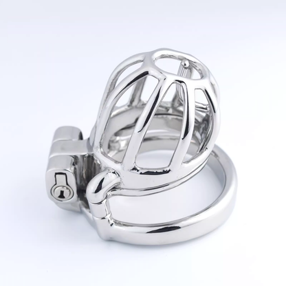 Steel Custom Chastity Cage With PA T14