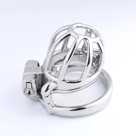 Steel Custom Chastity Cage With PA T14