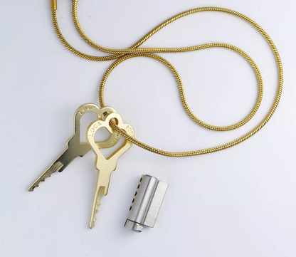 Steel Custom Chastity Cage With PA T14