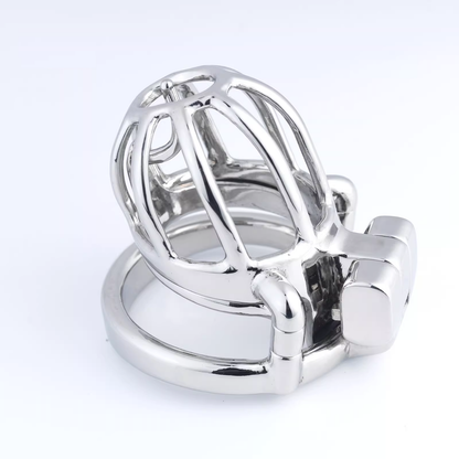 Steel Custom Chastity Cage With PA T14
