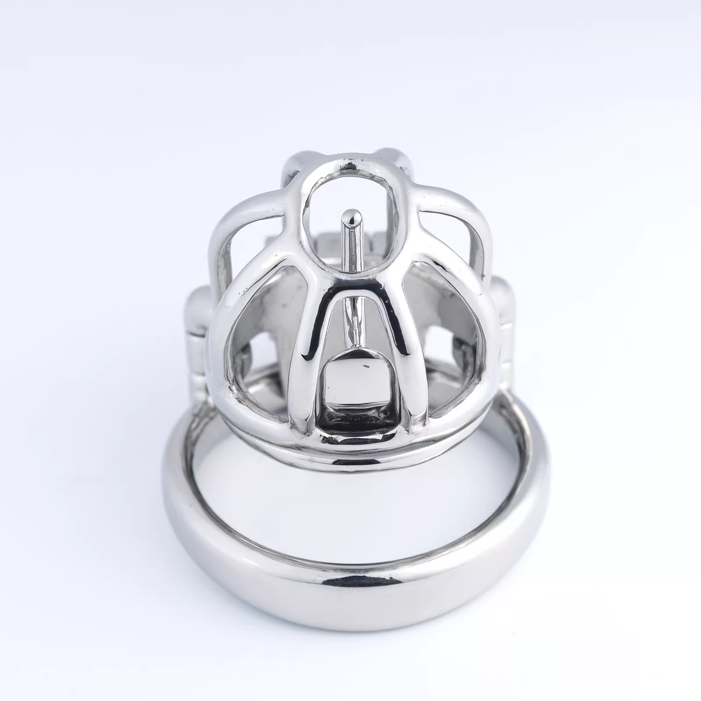 Steel Custom Chastity Cage With PA T14