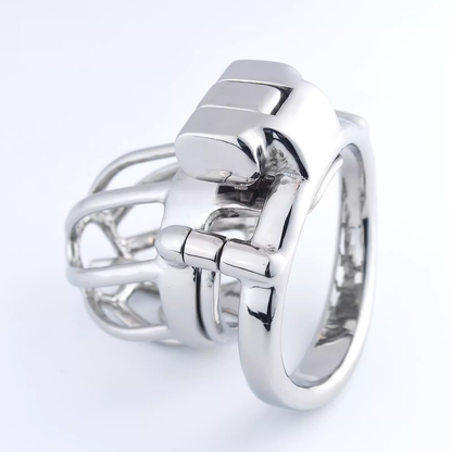 Steel Custom Chastity Cage With PA T14