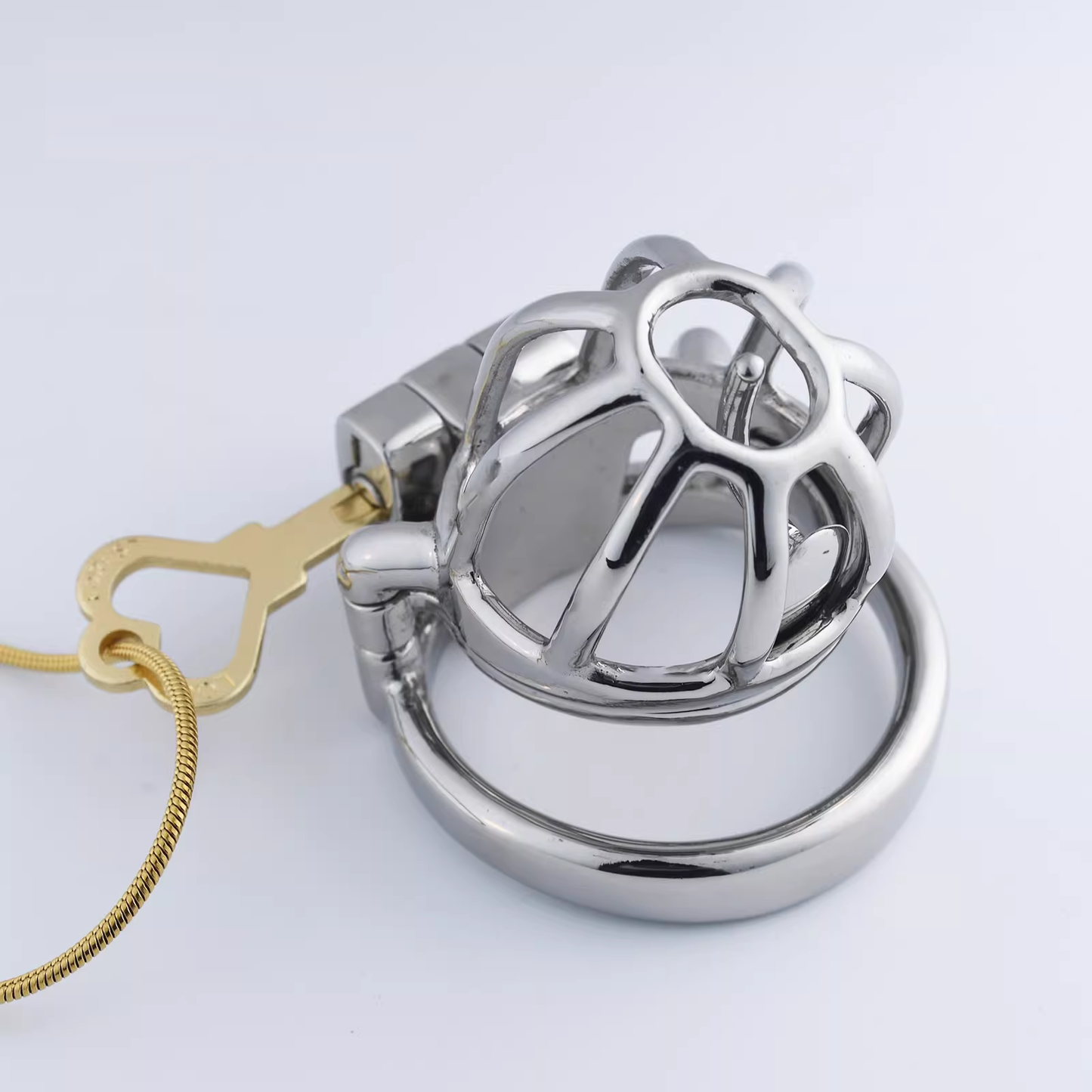 Steel Custom Chastity Cage With PA T14