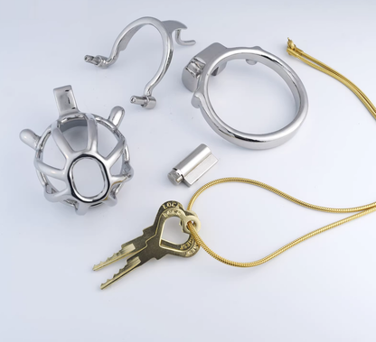 Steel Custom Chastity Cage With PA T14