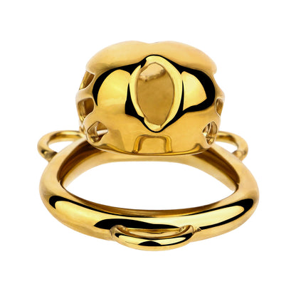 Golden Short Smooth Stainless Steel Mamba Cage with Belt