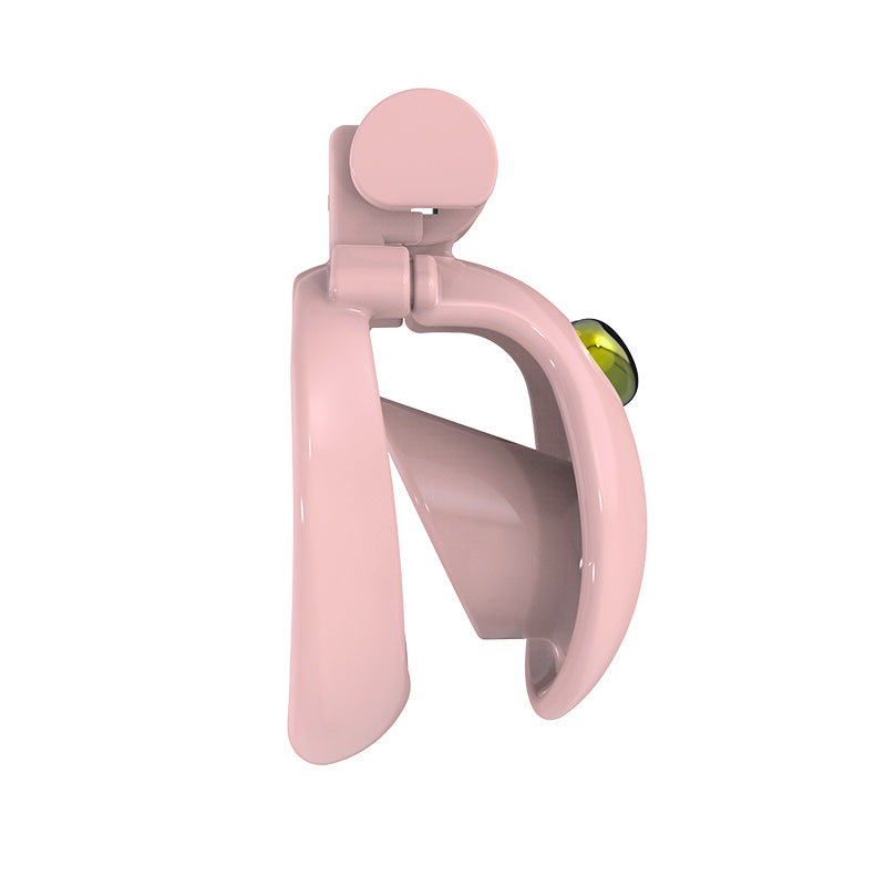 Macaron Cage Resin Chastity Device
