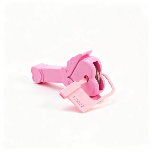 Magic Wand Chastity Key Box