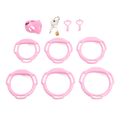 Oval ventilated cage configuration 7 and included accessories