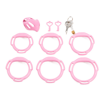 Oval ventilated cage configuration 8 and included accessories
