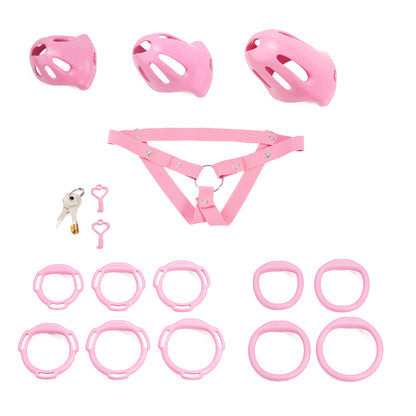 Oval ventilated cage configuration 19 and included accessories