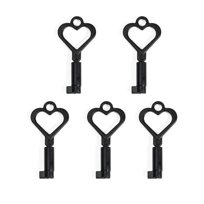 Plastic Keys For Chastity Cage -  Big Lock Version 14