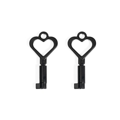 Plastic Keys For Chastity Cage -  Big Lock Version 12