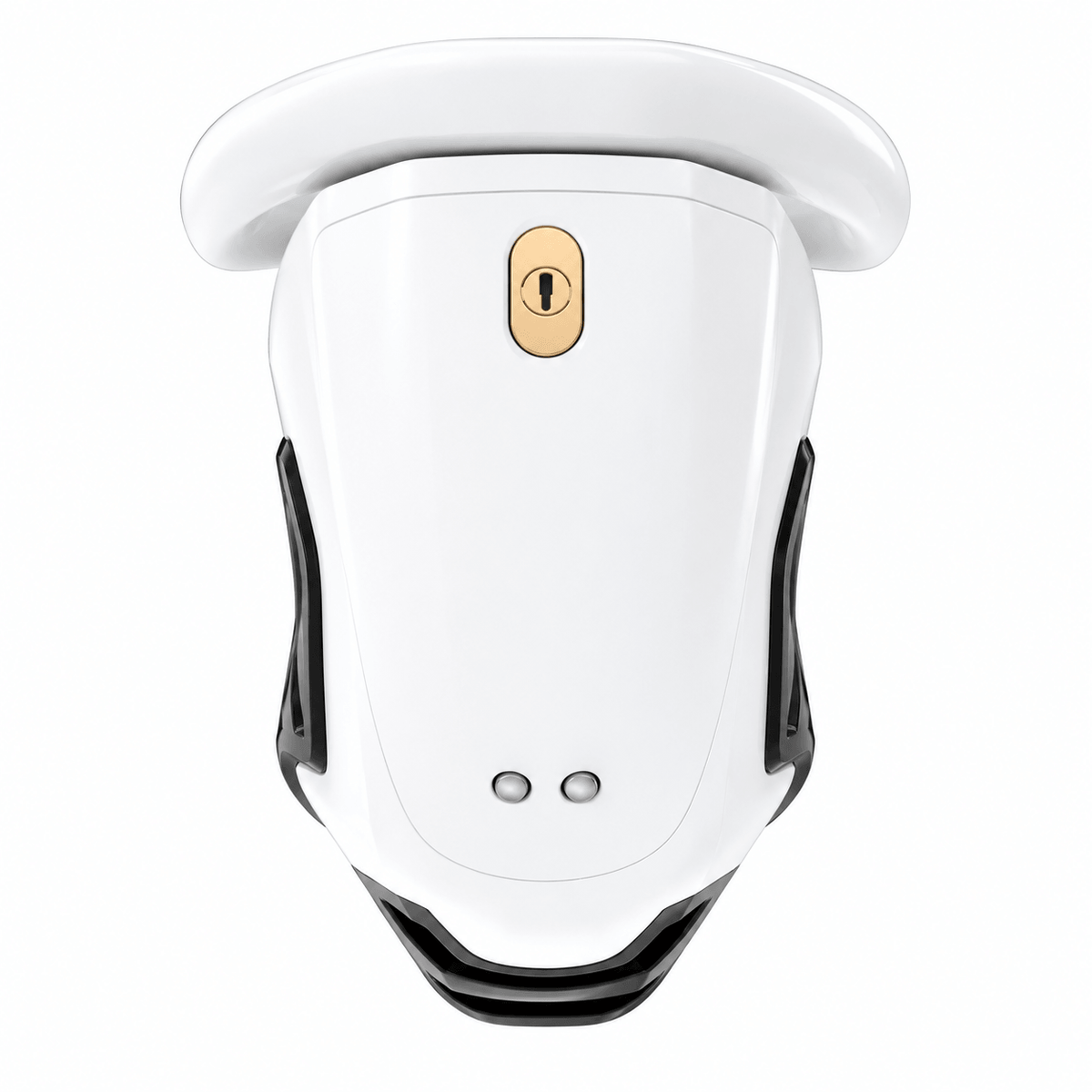 QIUI Thrill Cage Chastity Cage with 10 E-Stim Intensity Levels
