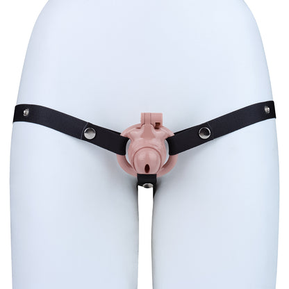 Resin Inverted Chastity Cage