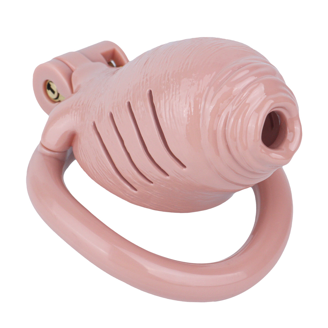 Resin Realistic Chastity Cage