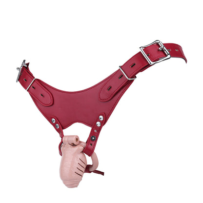 Resin Realistic Chastity Cage