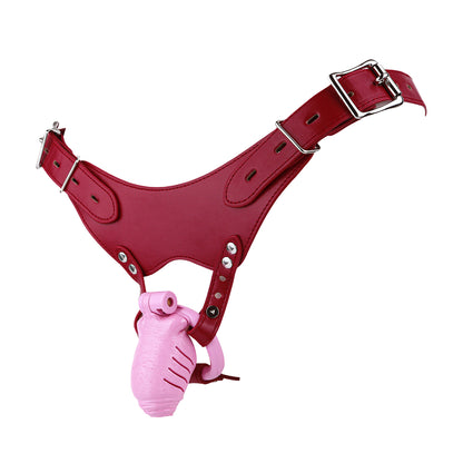 Resin Realistic Chastity Cage