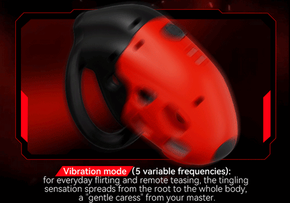 Lockink Telescopic Electric Shock Chastity Cage
