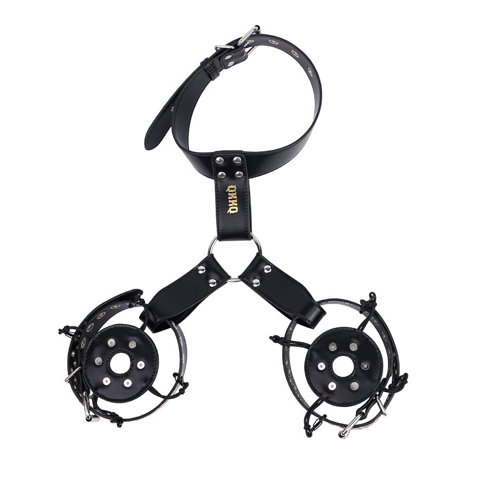 Black harness collar with two circular riveted covers attached