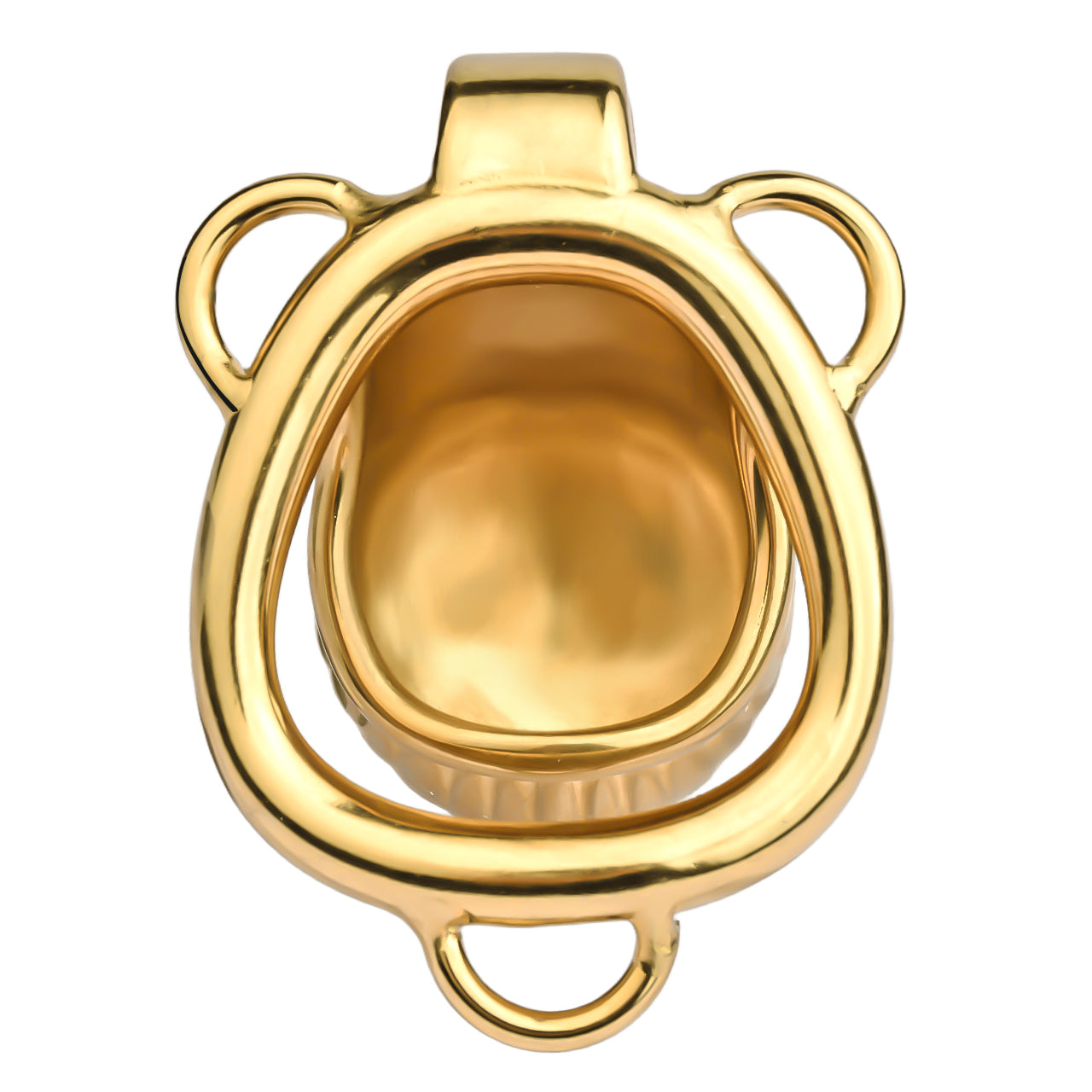Shell Design Golden Chastity Cage - 3