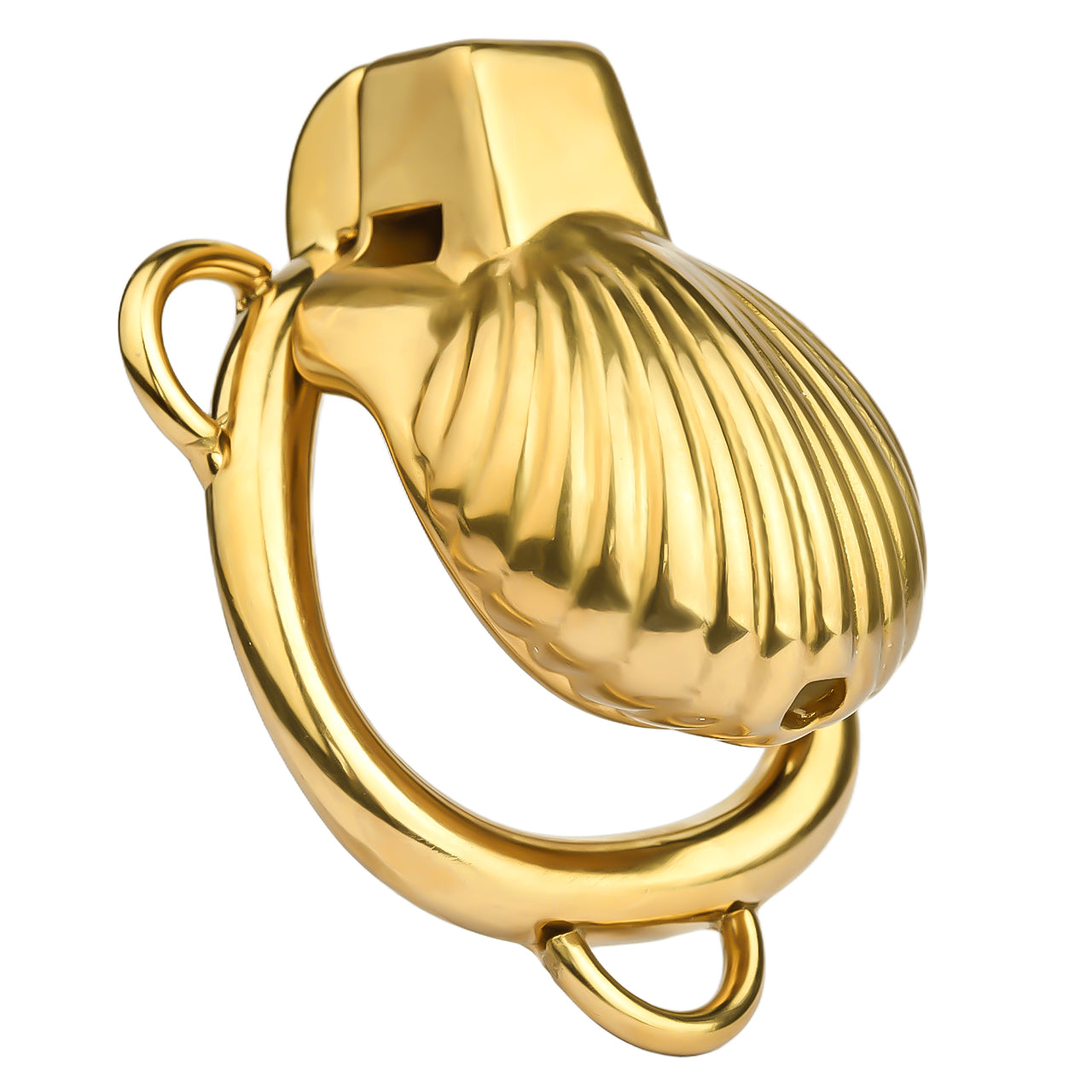 Shell Design Golden Chastity Cage - 2