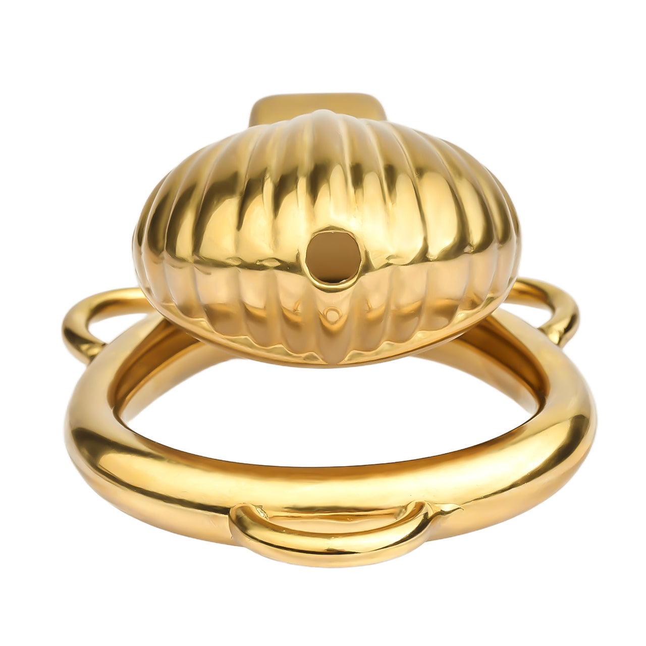 Shell Design Golden Chastity Cage - 4
