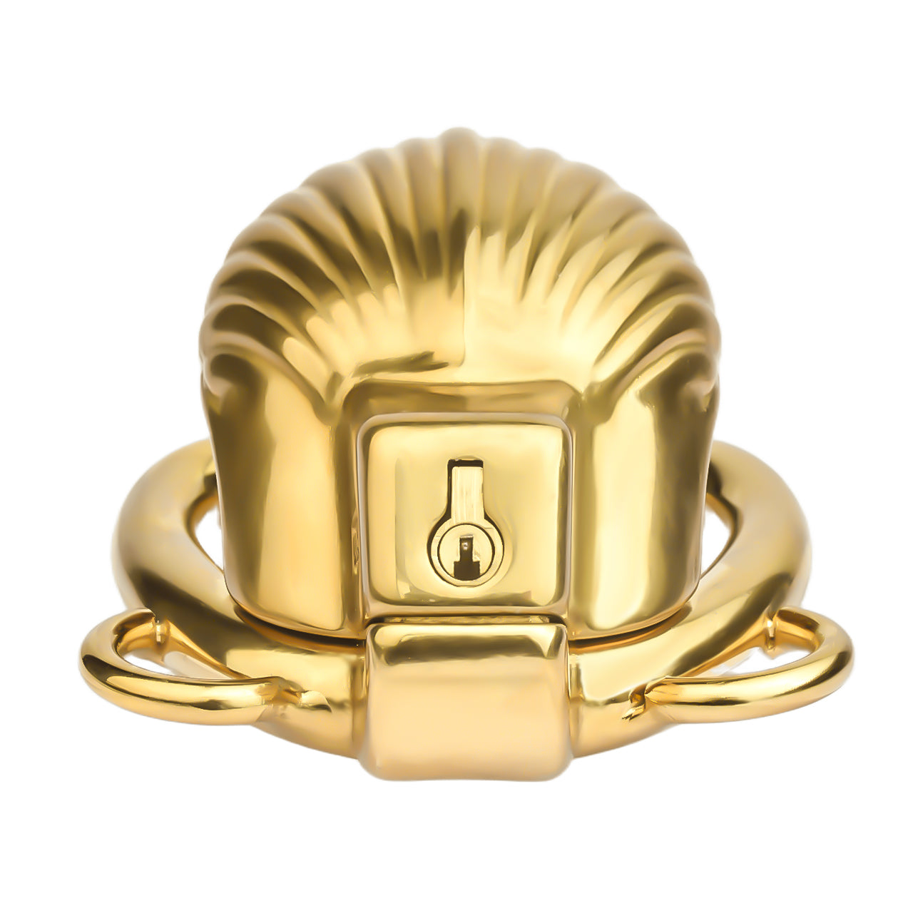 Shell Design Golden Chastity Cage - 5
