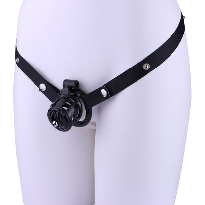 Sissy Pussy Chastity Cage - 17