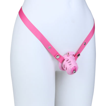 Sissy Pussy Chastity Cage - 19