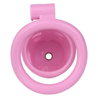 Sissy Pussy Chastity Cage - 10
