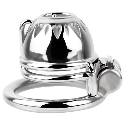 Small Chastity Cage with PA -4