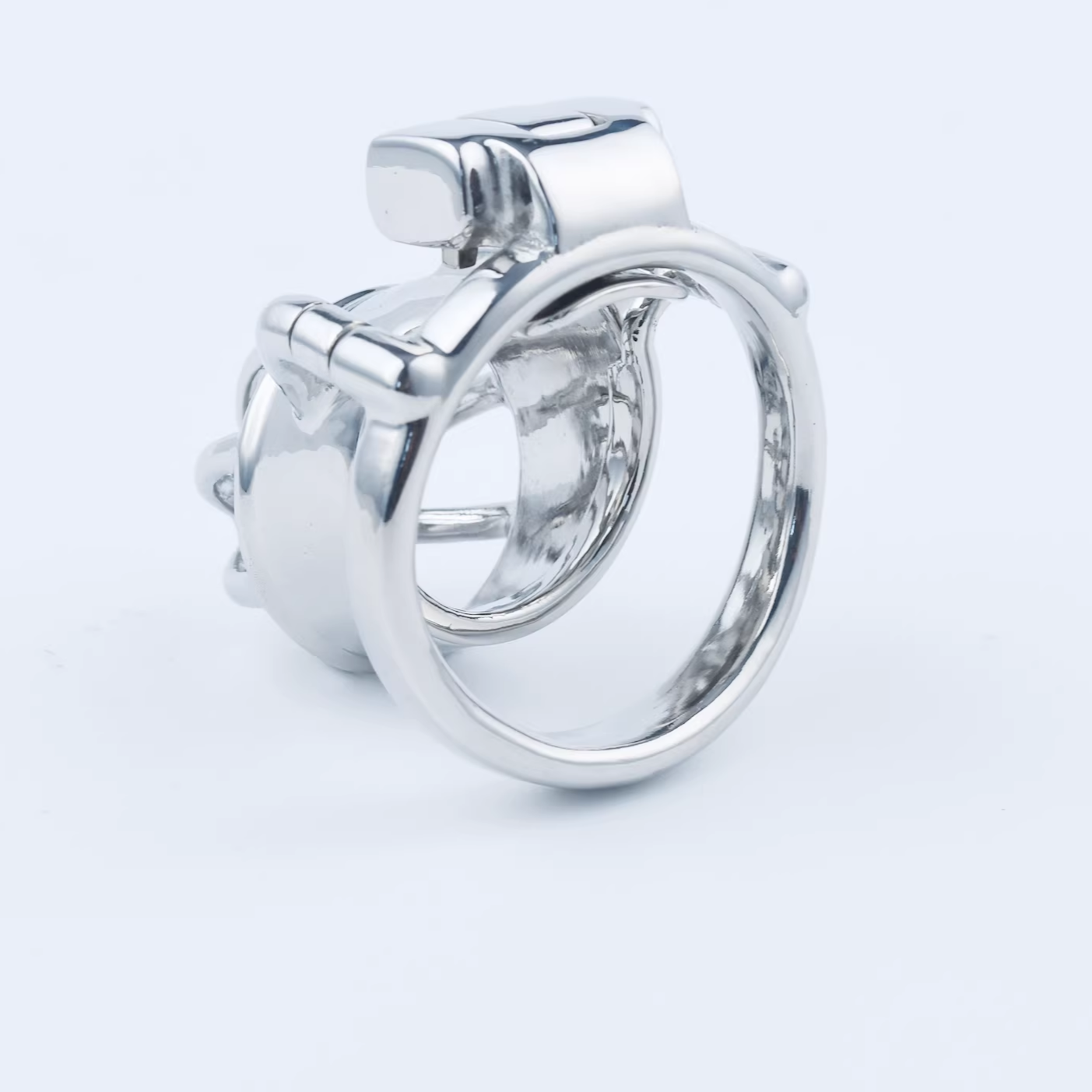 Stainless Steel Custom Chastity Cage With PA T15 - 2
