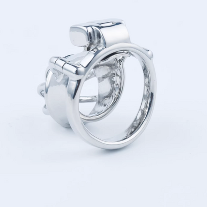 Stainless Steel Custom Chastity Cage With PA T15 - 2