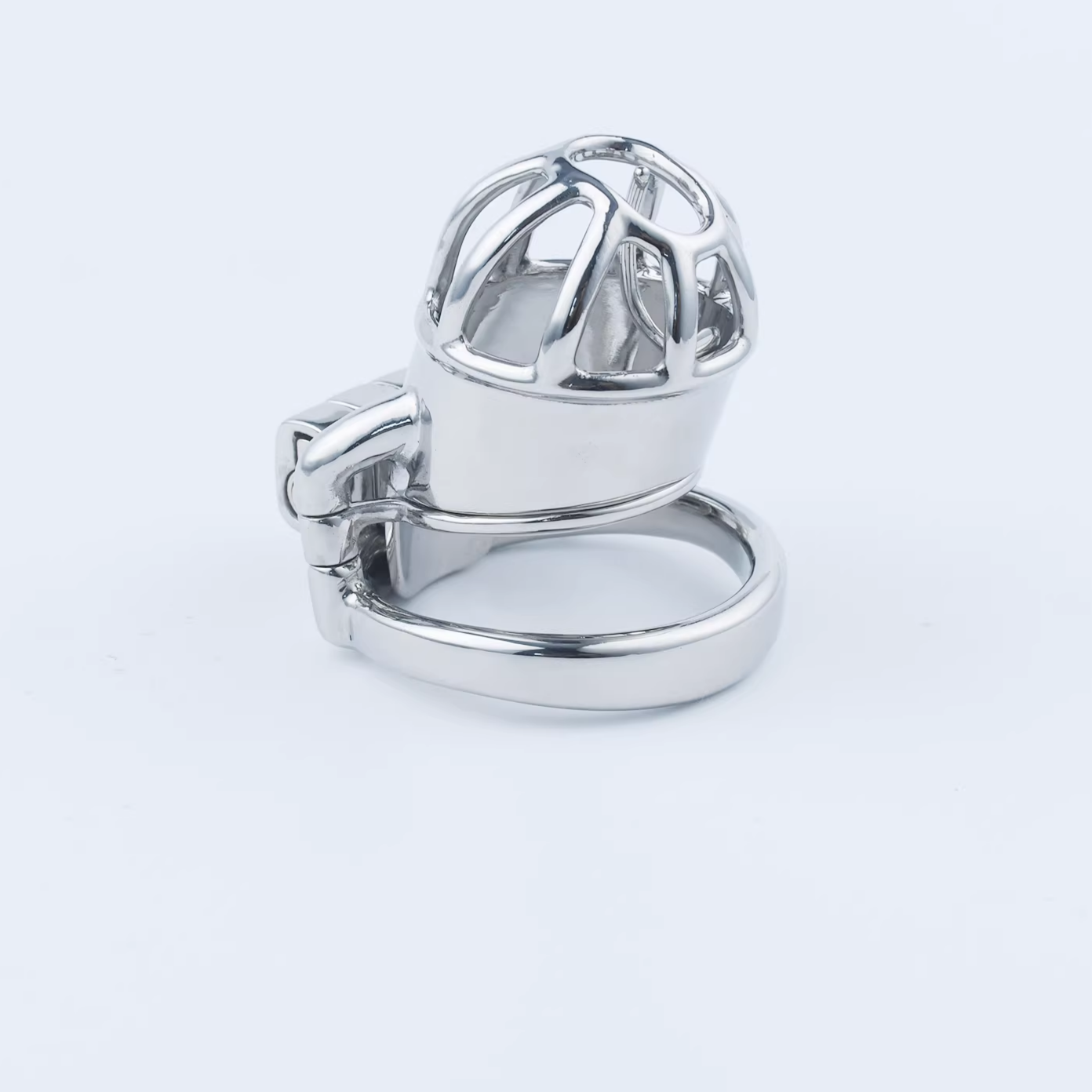 Stainless Steel Custom Chastity Cage With PA T15 - 3