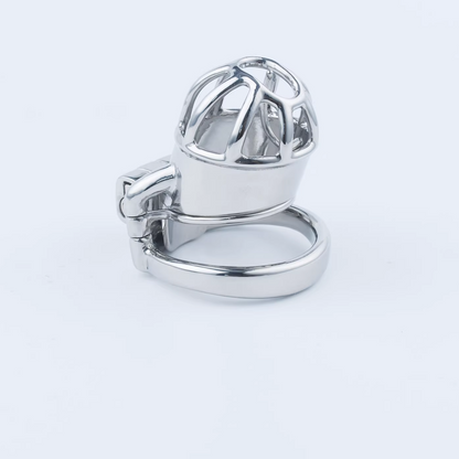 Stainless Steel Custom Chastity Cage With PA T15 - 3