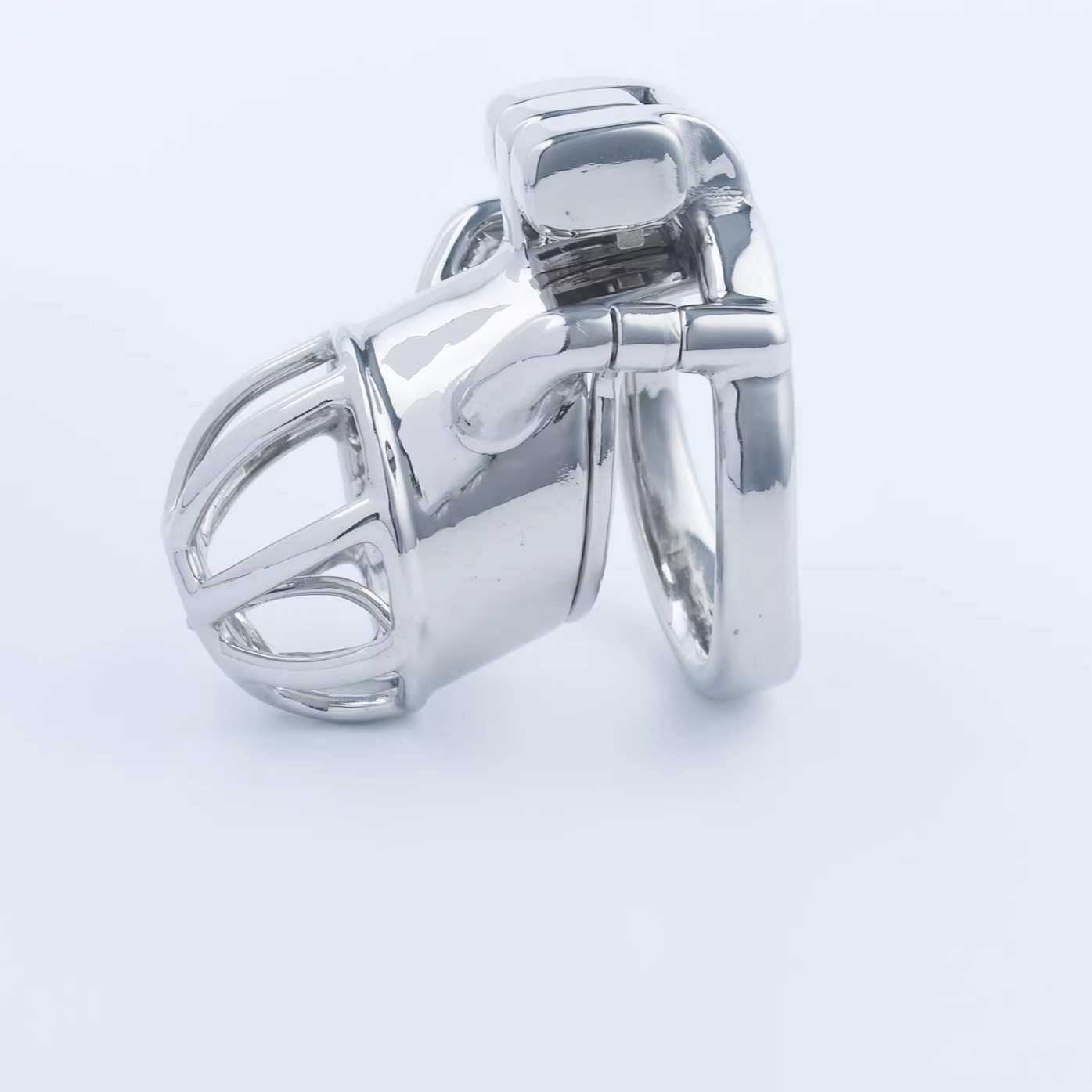 Stainless Steel Custom Chastity Cage With PA T15 - 4