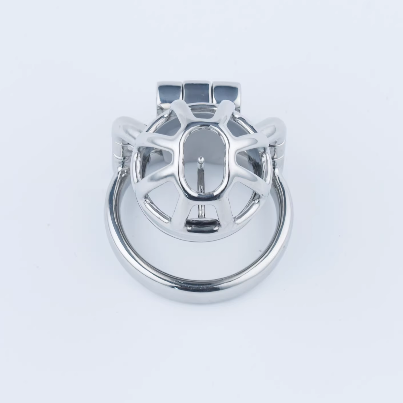 Stainless Steel Custom Chastity Cage With PA T15 - 5