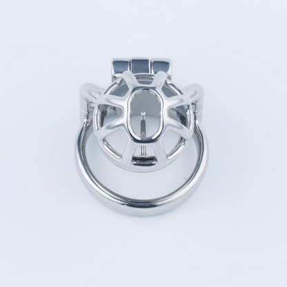 Stainless Steel Custom Chastity Cage With PA T15 - 5