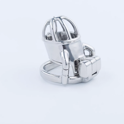 Stainless Steel Custom Chastity Cage With PA T15